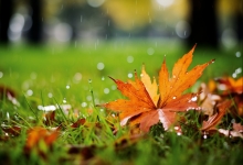 长方形周长公式_正方形的周长公式有_正方形周长公式