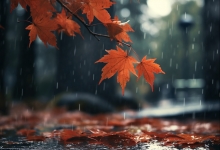 正方形周长公式_正方形的周长公式有_长方形周长公式