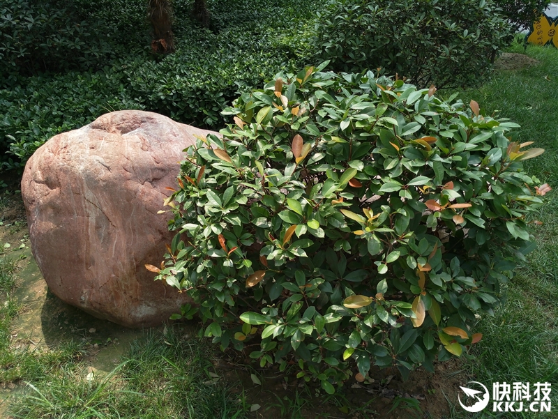 MX系列手机评测_f x mx2 mx 6 m_魅族MX6