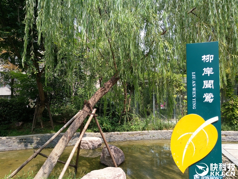 魅族MX6_f x mx2 mx 6 m_MX系列手机评测