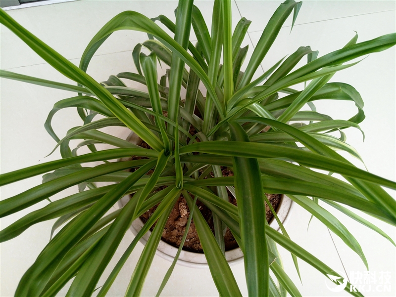 魅族MX6_f x mx2 mx 6 m_MX系列手机评测