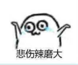 Nars腮红名字含义_Nars腮红试色_nars高光修容盘