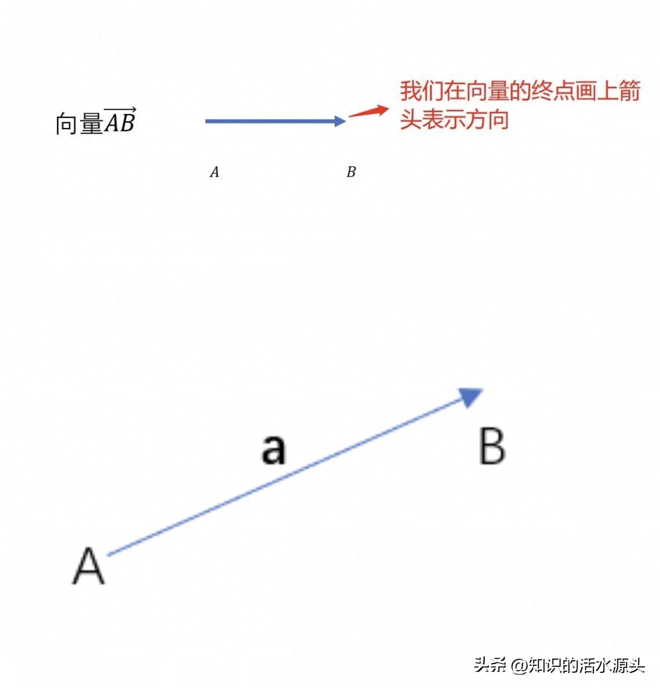 向量知识全解析：表示、计算及应用，带你深入了解向量